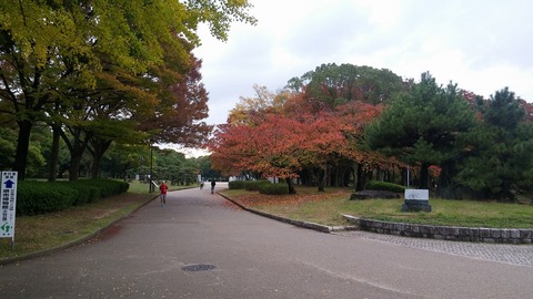 20171111_081507