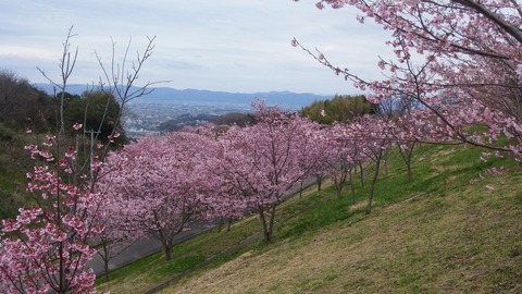 20170406_150322
