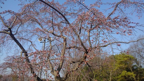 KIMG0704