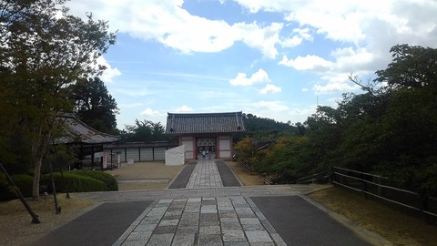 KIMG6579