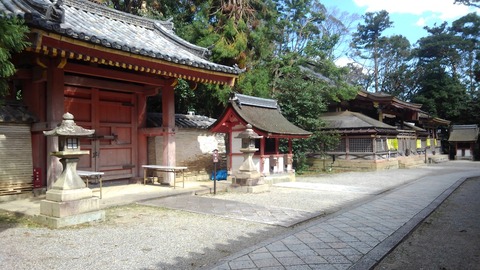 KIMG2352
