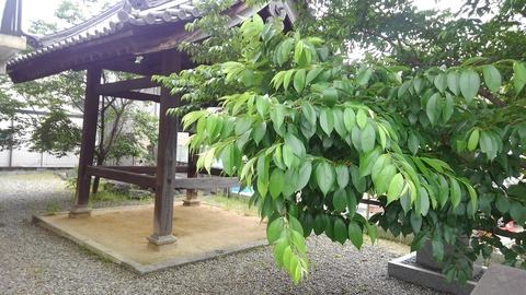 KIMG1415