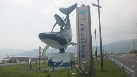 8月13日 (1)