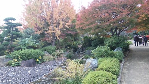 １１月１８日 (19)
