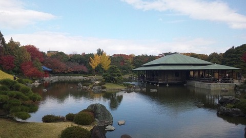 １１月１８日 (8)