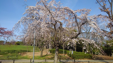 KIMG0722