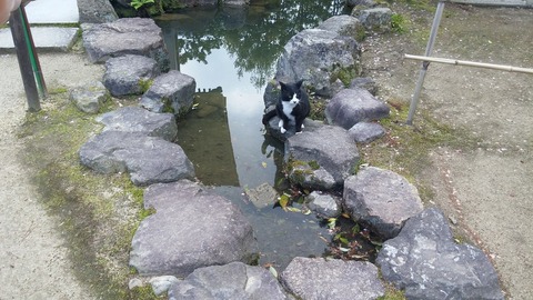 20170418_143702