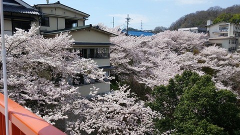 20170413_122623