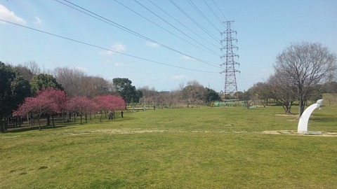 コピー ～ ３月２５日　大仙公園 (6)
