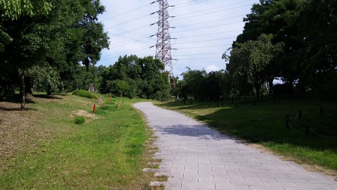 20170722_082918