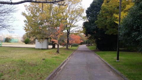20171129_075353