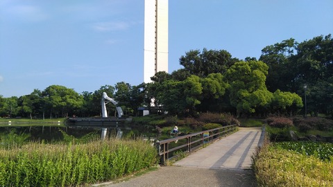 KIMG8529